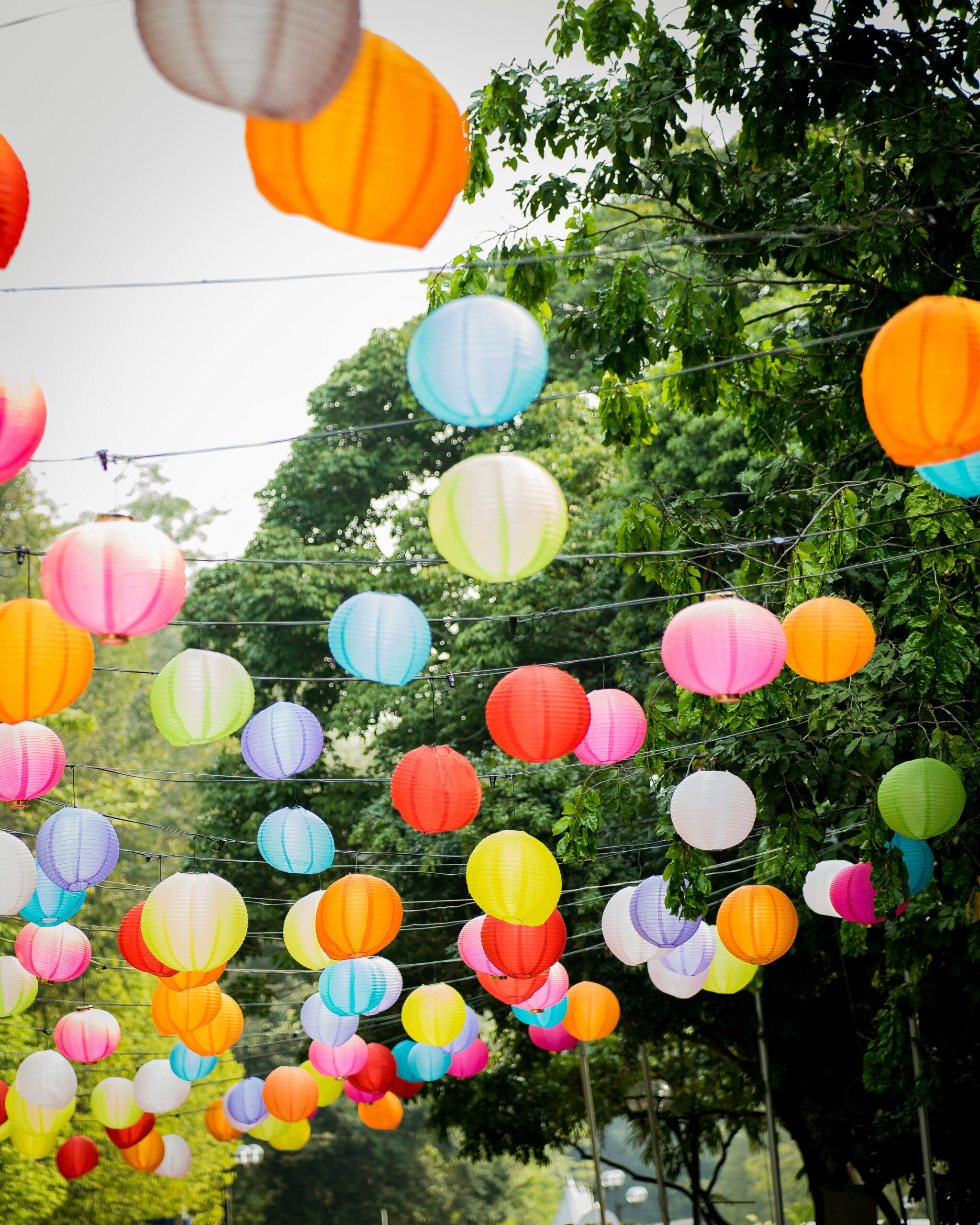 Colourful Paper Lantern hanging with trees and sky in the background.